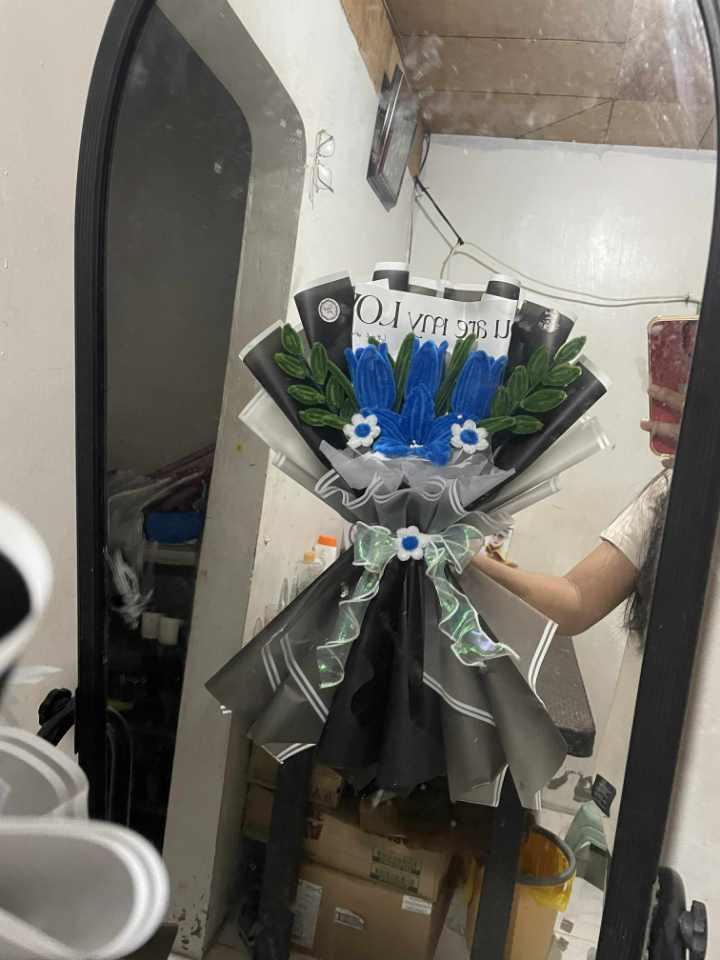 sapphire tulip dream sapphire tulip dream